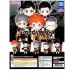 01-85180 Haikyu!! Deformed Figure Series Side-A Version Mini Figure Collection 400y